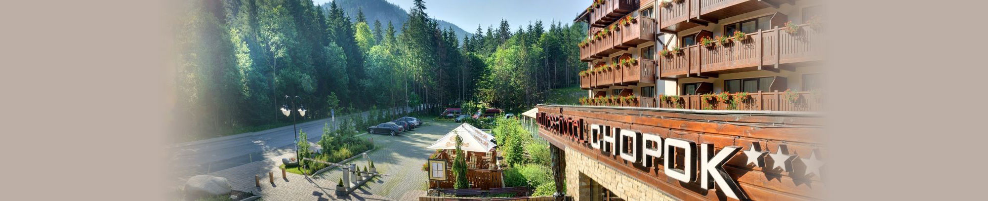 Гостиница номера ночлеги Спа Велнес Деменовская долина Словакия Низкие Татры