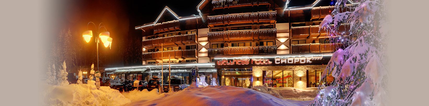 Гостиница номера ночлеги Спа Велнес Деменовская долина Словакия Низкие Татры