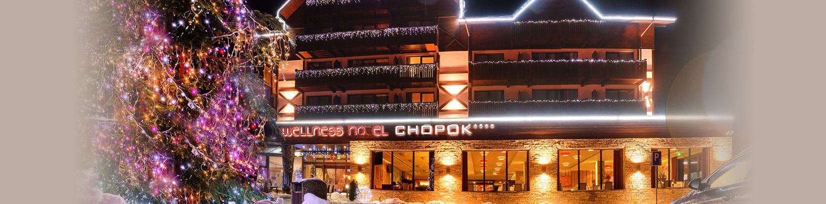 Гостиница номера ночлеги Спа Велнес Деменовская долина Словакия Низкие Татры